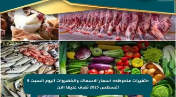 «تغيرات ملحوظة» أسعار الأسماك والخضروات اليوم السبت 9 أغسطس 2025 تعرف عليها الآن